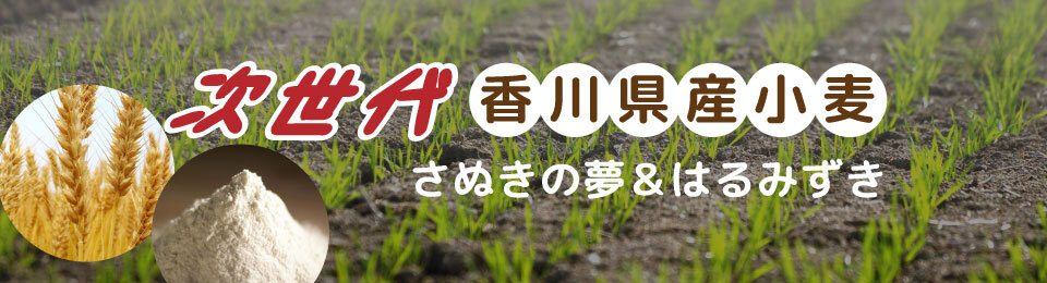 ネクスト香川県産小麦